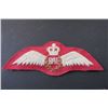 Image 1 : Royal Air Force Pilot Wings Queen's Crown