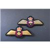 Image 1 : (2) RCAF Insignia Badges