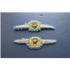 Image 2 : Imperial Japanese Army Pilot's Wings