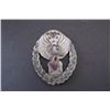 Image 1 : Cival Air Patrol Cadet Cap Badge