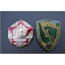(2) WWII German  Russian Pins