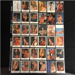 PENTHOUSE COLLECTOR SERIES CARDS