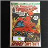 Image 1 : THE AMAZING SPIDER-MAN #112 (MARVEL COMICS)