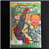 Image 1 : THE AMAZING SPIDER-MAN #107 (MARVEL COMICS)