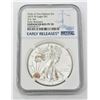 Image 1 : 2019 W ERP Silver Eagle POTN Set Proof NGC PF70 ER