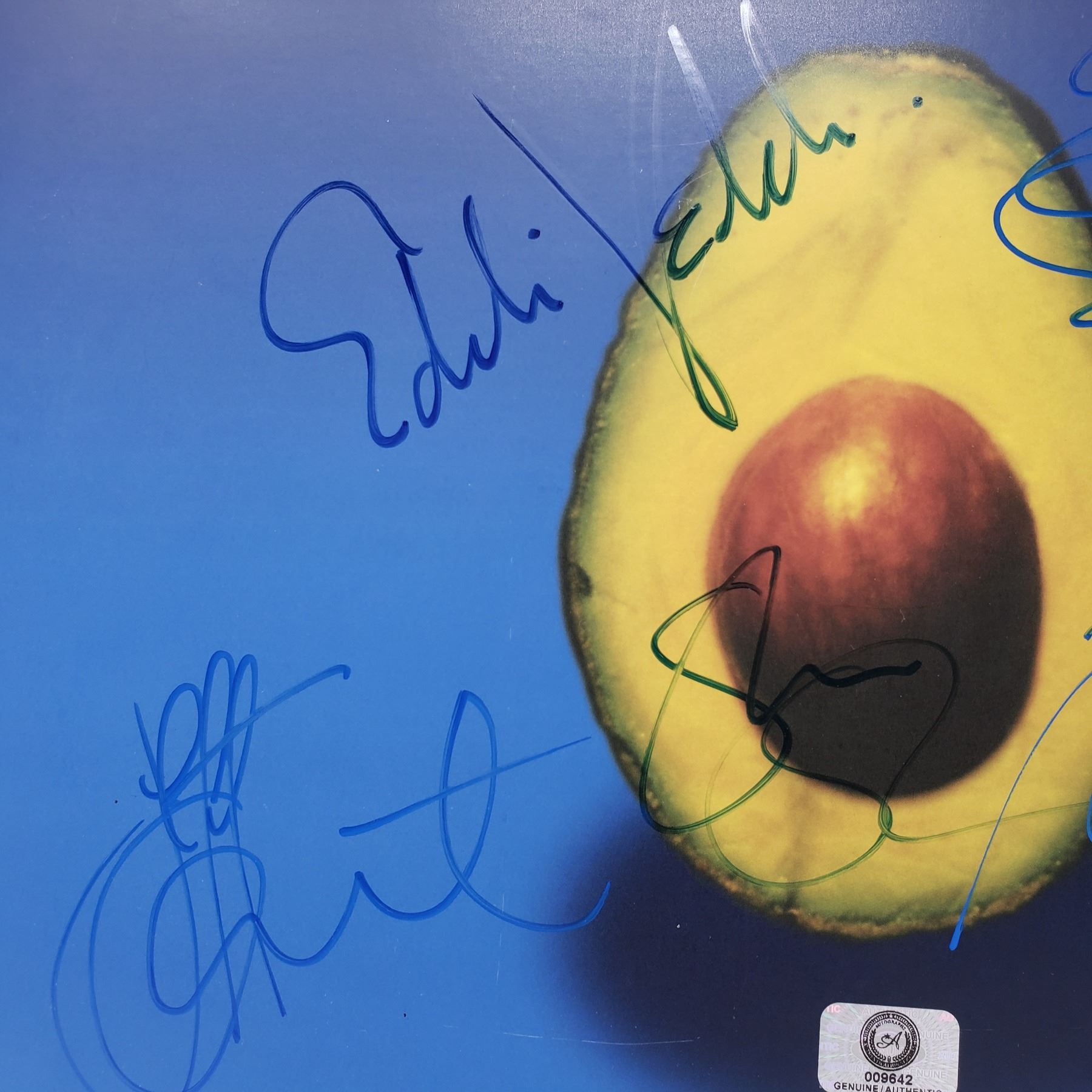 Pearl Jam Signed Pearl Jam (a.k.a The Avocado Album) Album Cover