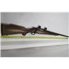 Image 11 : 33 - Winchester Model 70 .375 H H Magnum Rifle