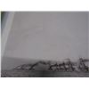Image 4 : 254 - Unframed Picture Of German Fleet Steaming In
