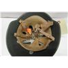 Image 5 : 400 - East German M56 Type 2 Helmet W/ 176 Liner