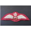 Image 1 : 613 - Royal Air Force Pilot Wings Queen's Crown