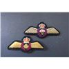 Image 1 : 623 - (2) RCAF Insignia Badges