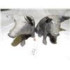 Image 3 : 737 - 2pc Cast Iron Pig Coin Banks