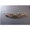 Image 1 : 885 - WWI Pilot's Wings, Sterling