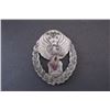 Image 1 : 888 - Cival Air Patrol Cadet Cap Badge
