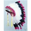 Image 1 : Sioux Headdress