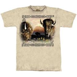 Beautiful Tee Shirts 