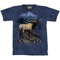 Beautiful Tee Shirts