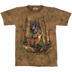 Beautiful Tee Shirts