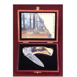 Silver Indian Warrior Collector Knife