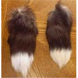 Fox Tails