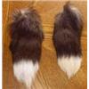 Image 1 : Fox Tails