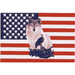 Native American Indian Flags