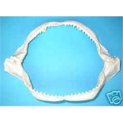 Genuine Shark Jaws