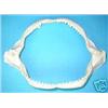 Image 1 : Genuine Shark Jaws