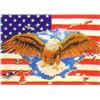 Image 1 : USA Stars & Stripes With Eagle Flag