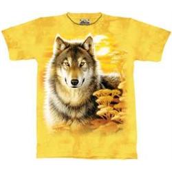 Beautiful Tee Shirts