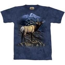 Beautiful Tee Shirts