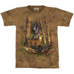 Beautiful Tee Shirts