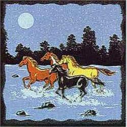 Native American Sothwest Bandana (10)