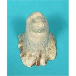 Micmac Moose Antler Carvings