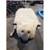 Image 2 : REAL POLAR BEAR RUG WITH PAPERS