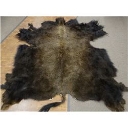 Tanned buffalo rug, 8' long including tail x 7' wide
