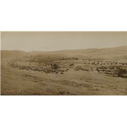 Huffman, L. A. collotype, Throwing Rangers To The Roundup, 10" x 20", framed