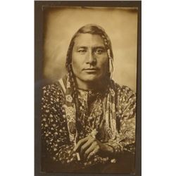 Barthelmess, C. collotype Stump Horn Bull, 1905-1920 period, reprinted by Huffman, featured in Peter