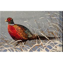 Pickthorn, Nadine original acrylic, pheasant, 3" x 5"