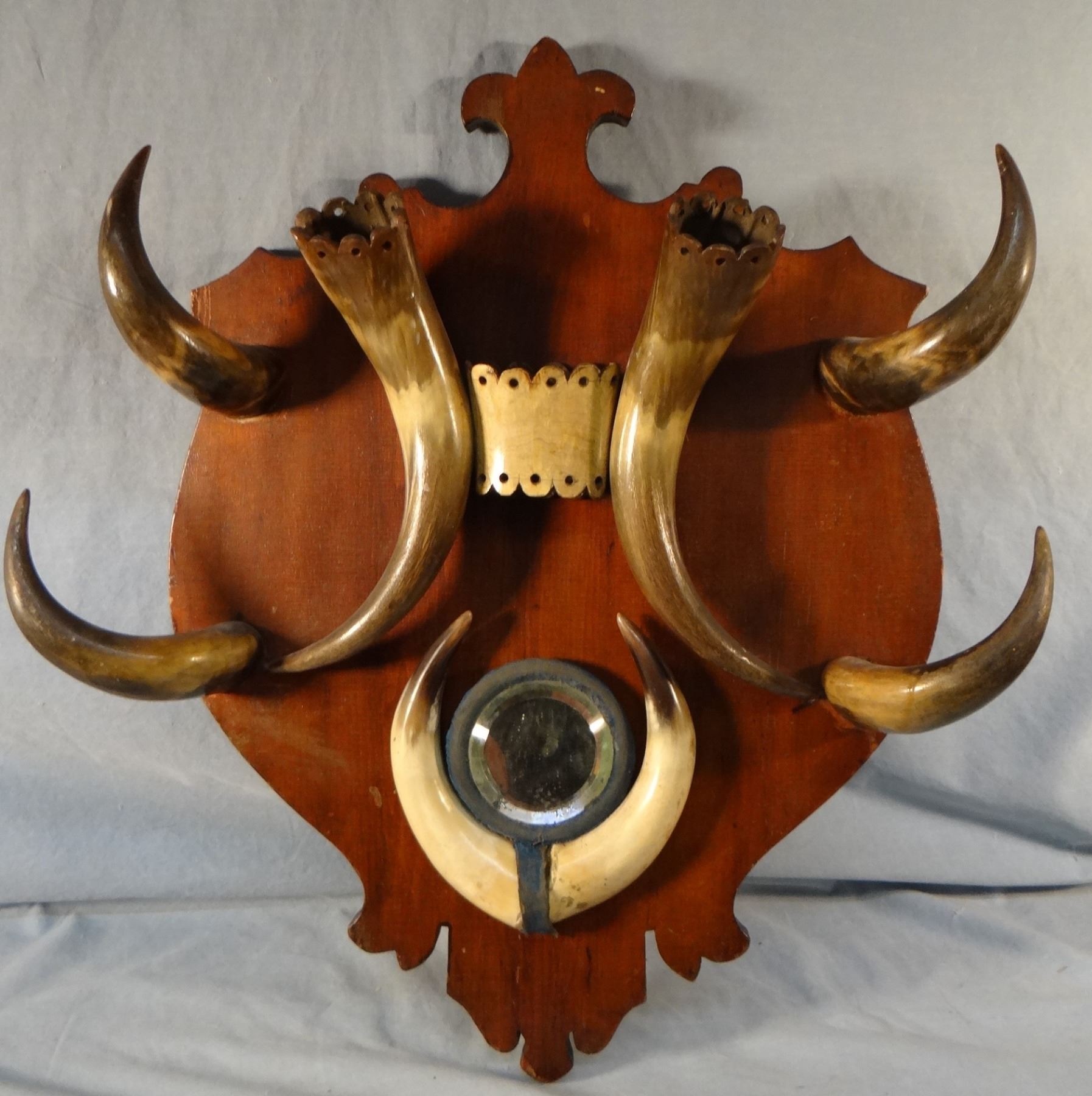 Steer horn hat rack, 8 horns, 16" x 22"