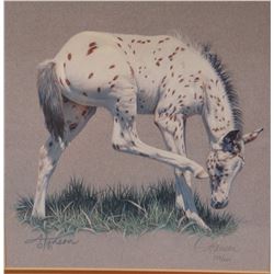 Hanson, Ann, colt print, Scratch Right Here, 10" x 10"
