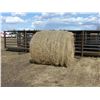 Image 1 : ROUND BALES - PER BALE (TIMES 9)