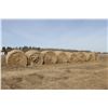 Image 3 : ROUND BALES - PER BALE (TIMES 9)