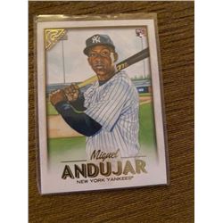Miguel Andujar RC