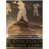 Image 2 : Joe Demaggio