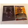 Image 1 : Darth vader and colone trooper