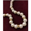 Image 2 : White Akoya Shell Pearl Necklace 49 Pearls