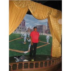 Sports setting backdrop & stage. Includ