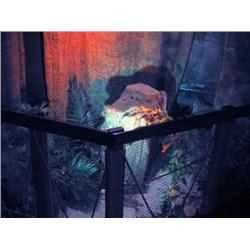 Jungle set - foam rocks, bridge, assort