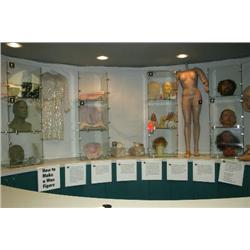 (lot) wax heads, hands & miscellaneous 